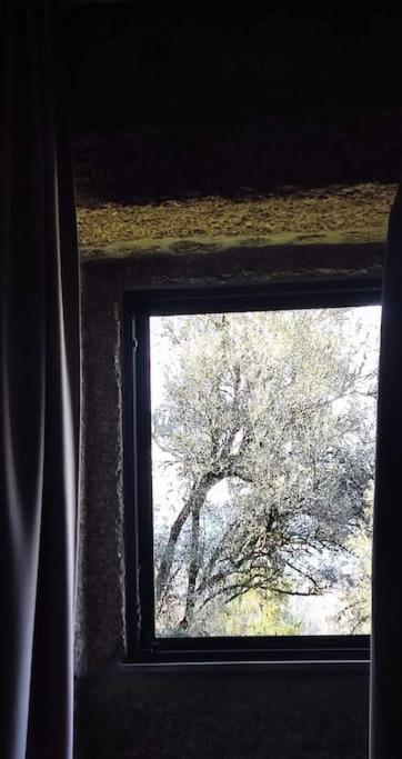 Casa Nova Das Oliveiras Braga Bagian luar foto