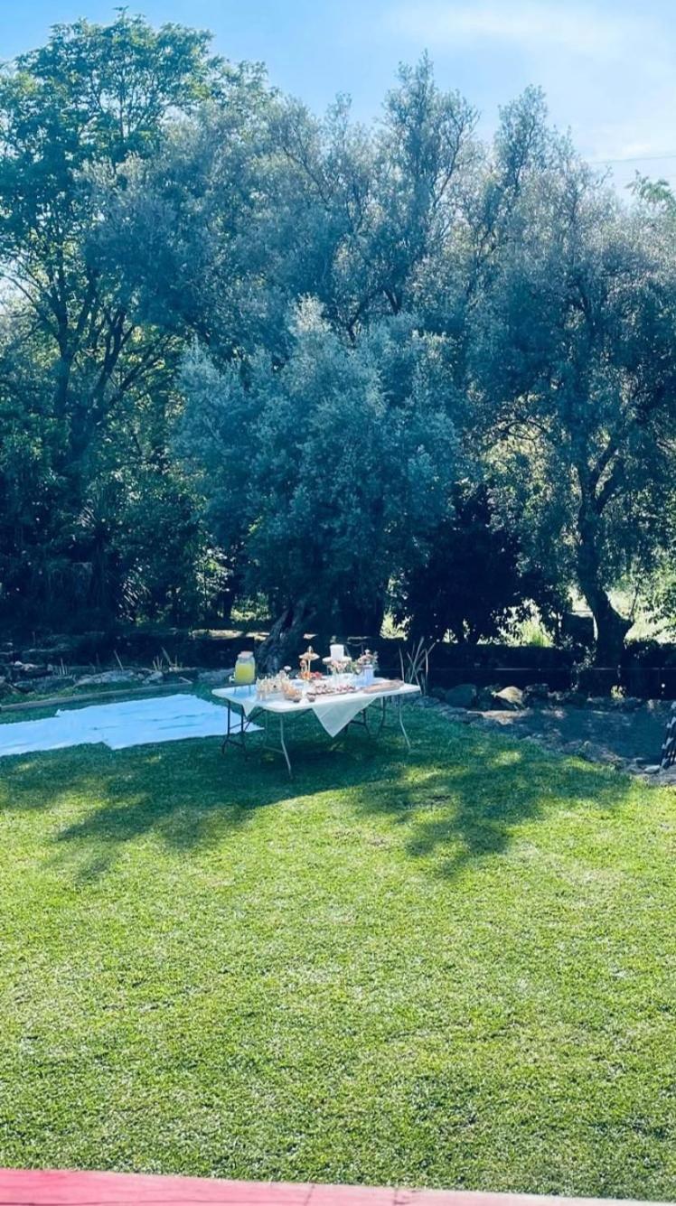 Casa Nova Das Oliveiras Braga Bagian luar foto